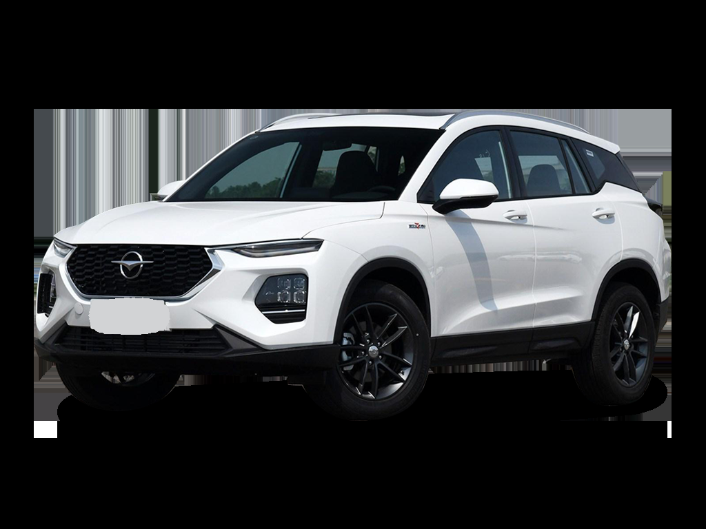 Haima 8S