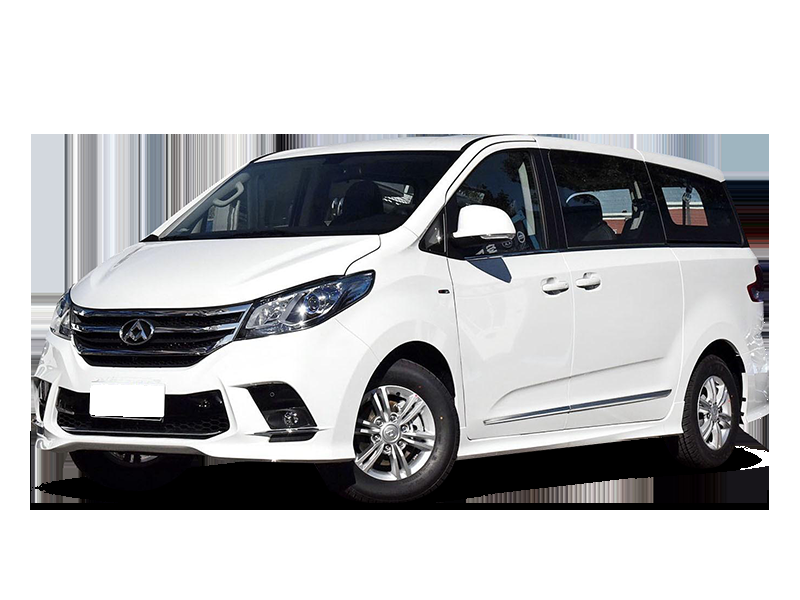 MAXUS G10