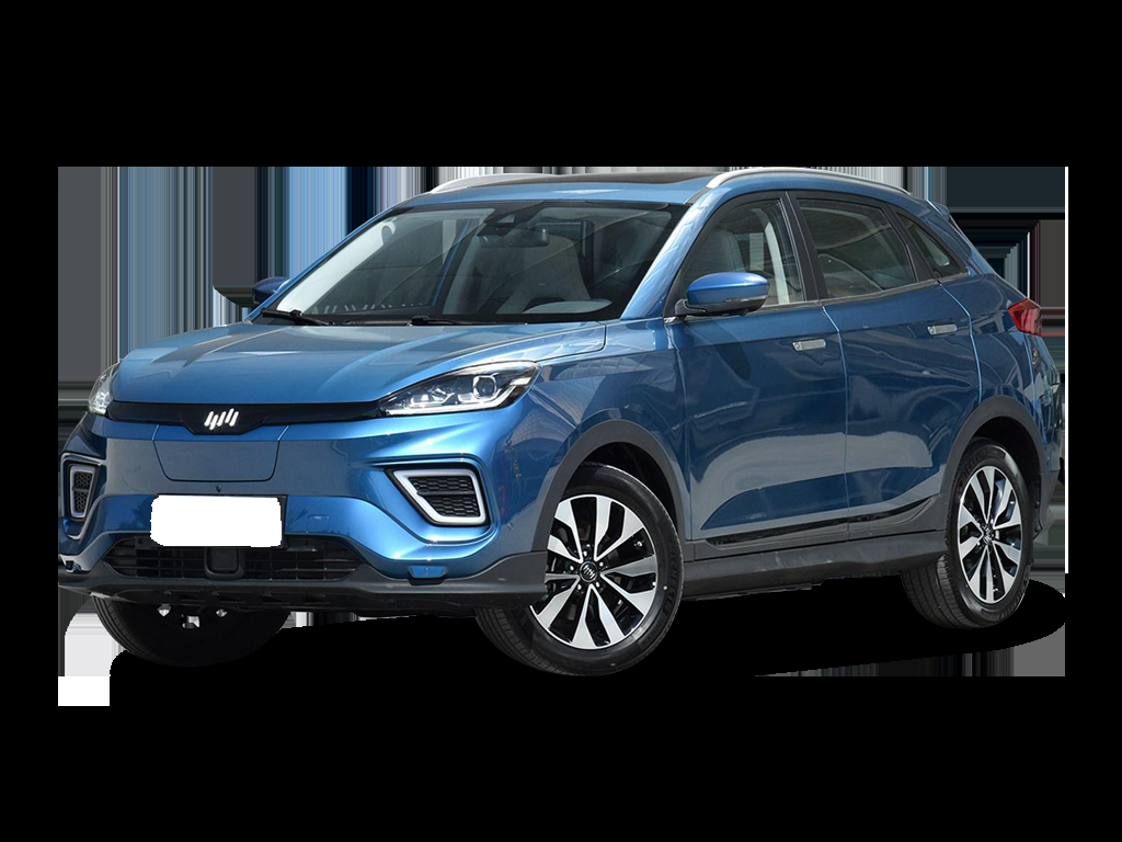WM Motor EX5