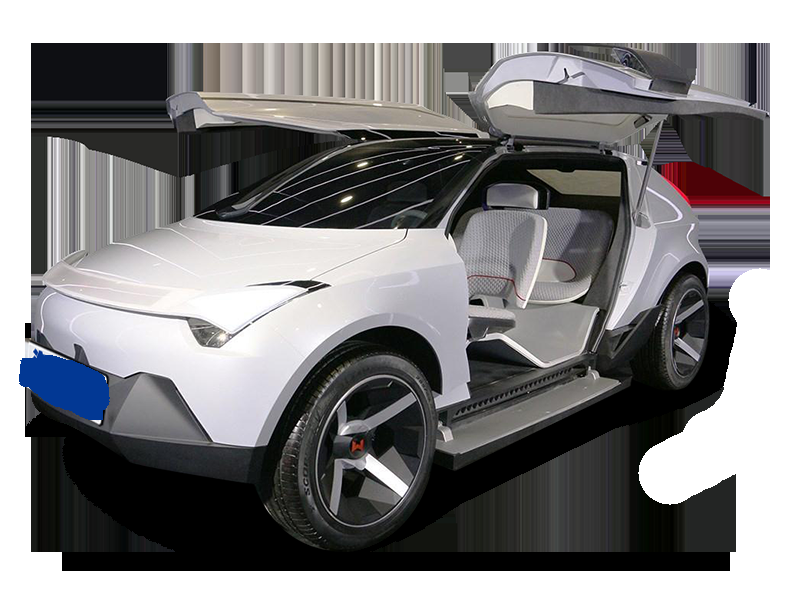 WM Motor AG2020