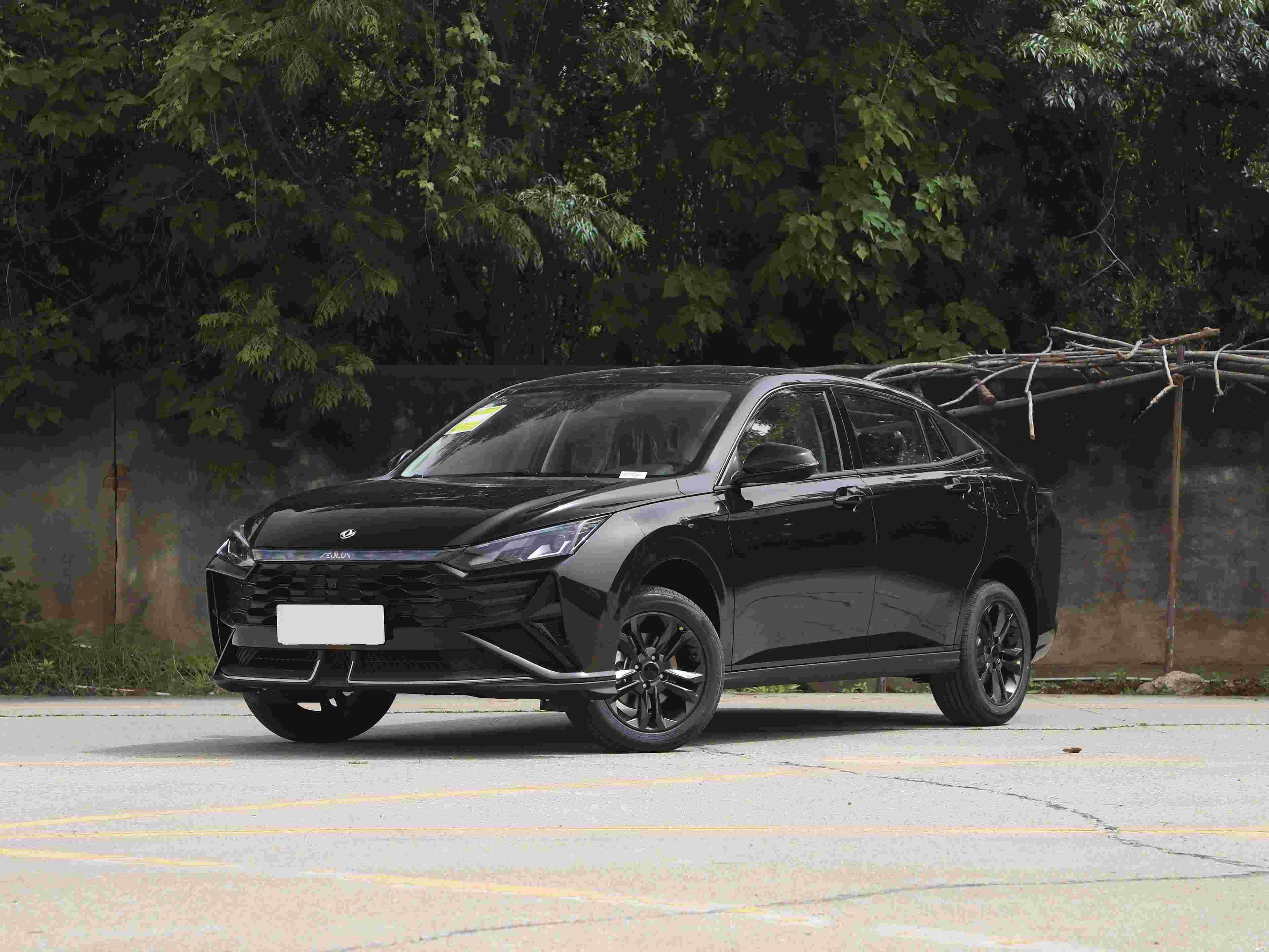 2025款 1.5L 卓越版