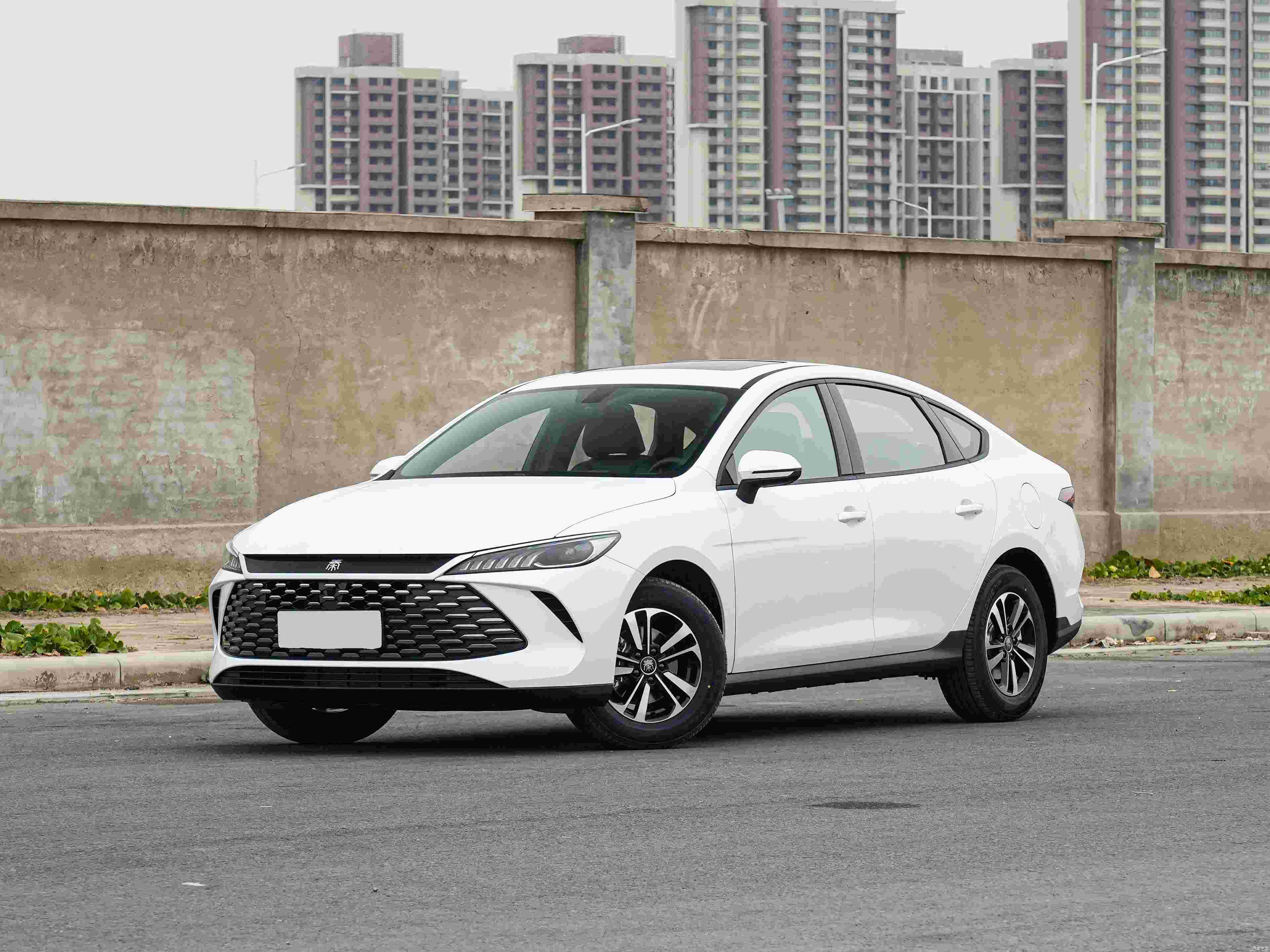 2026款 DM-i 210KM进取型